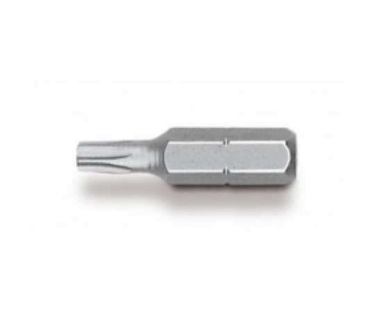 WITTE Bit TORX T 10 (29503,04)