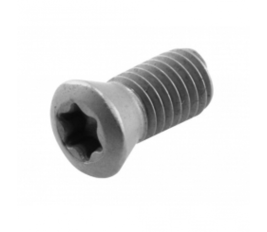 Šroub torx 4008-M2,5x5