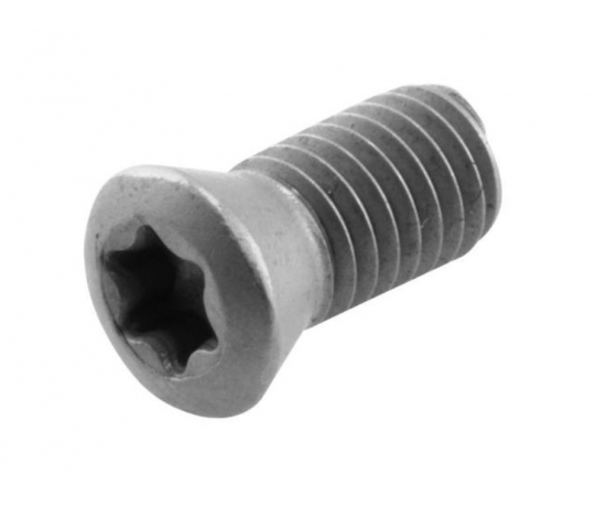 Šroub torx 4008-M2,5x5