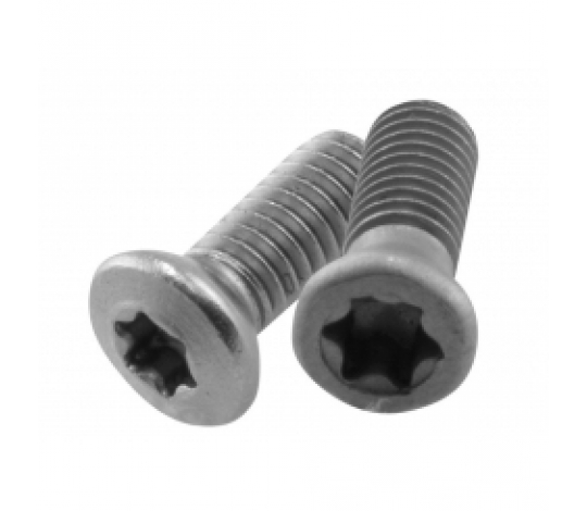 Šroub torx 3007-M2.2X4.6 (náhrada za 3007-M2,2x5 )