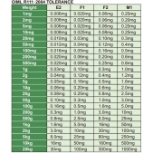 INSIZE 8911-1KGM1 Závaží 1 kg, hmotnostní třída M1, 304 nerezová ocel