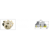 Fréza nástrčná čelní kopírovací AFMRC-RD1003-D063-A22-Z06-H