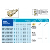 Stopková fréza čelní se závitem AEM90-AP10D-D20-M10-L30-Z03-H