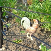 MetalCraft MC1225 dekorativní prvek - kohout B4