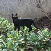 MetalCraft MC752 dekorativní prvek - kočka